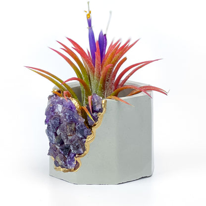 AMETHYST GEODE PLANTER