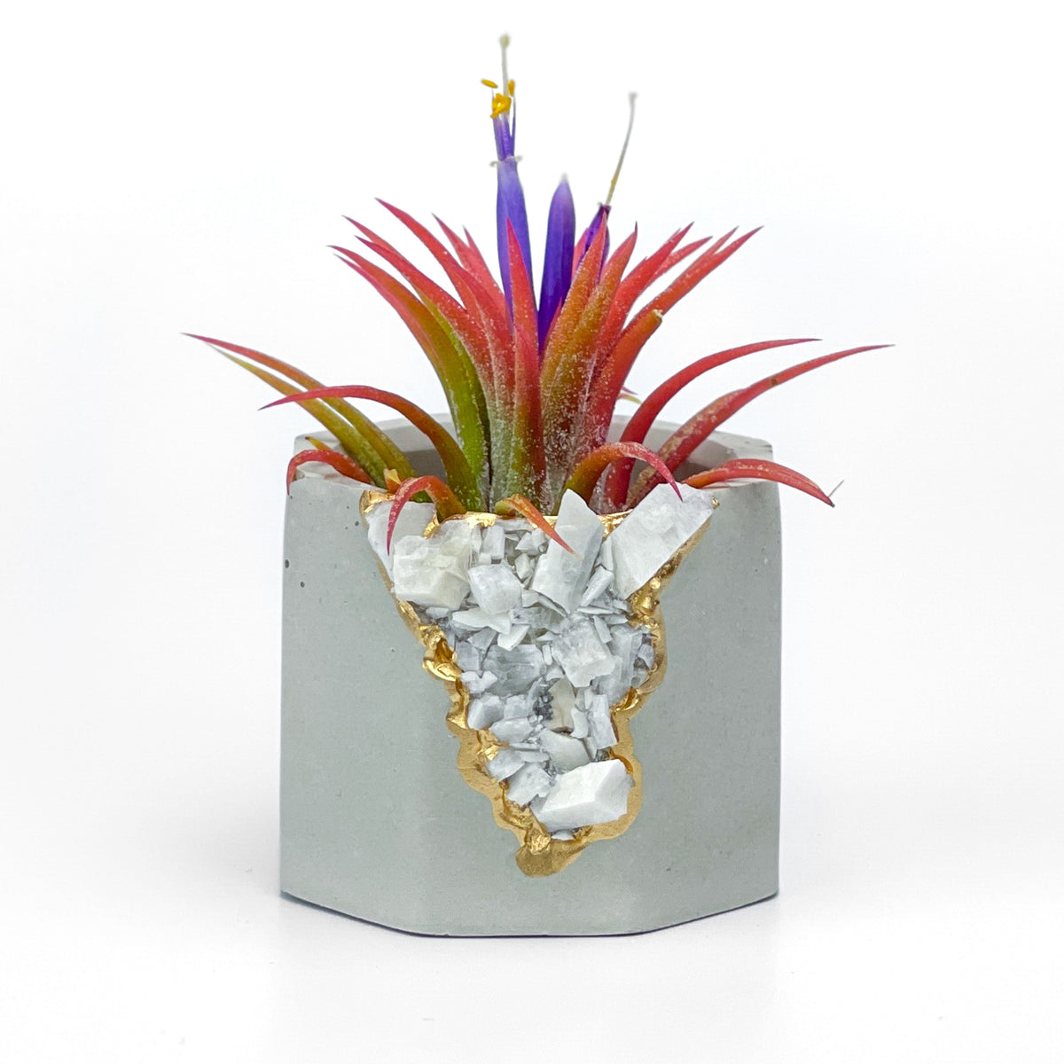 RAW MOONSTONE GEODE PLANTER