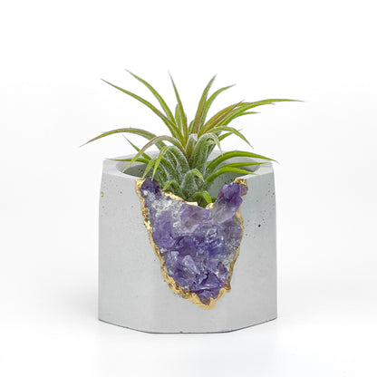 Brazil AMETHYST GEODE PLANTER
