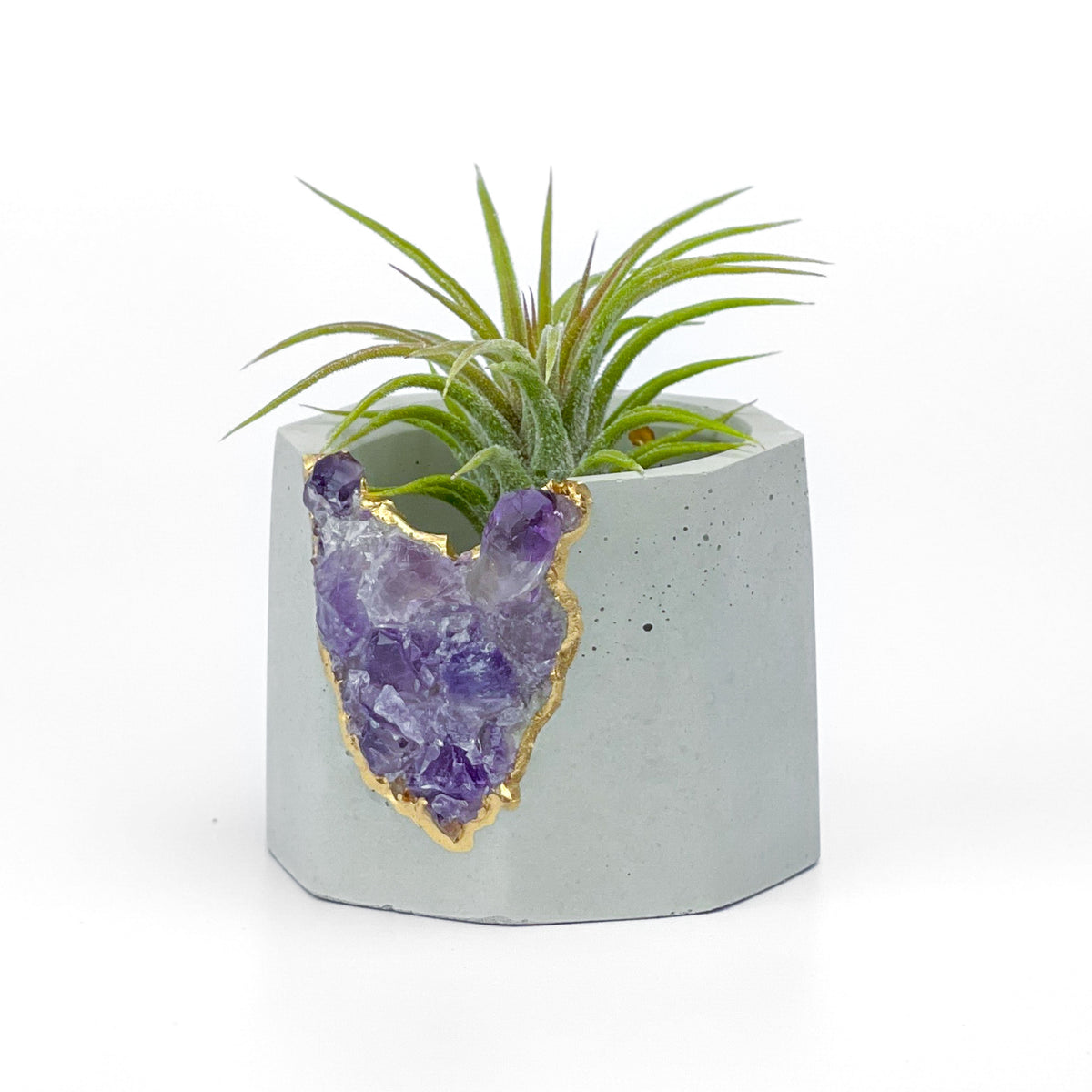 Brazil AMETHYST GEODE PLANTER
