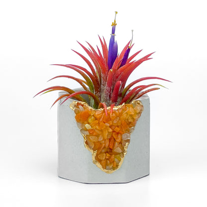 RED AVENTURINE GEODE PLANTER