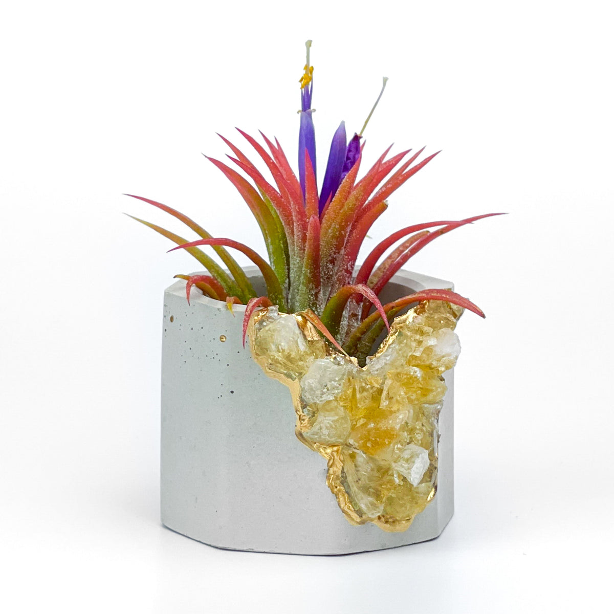 Raw CITRINE GEODE PLANTER