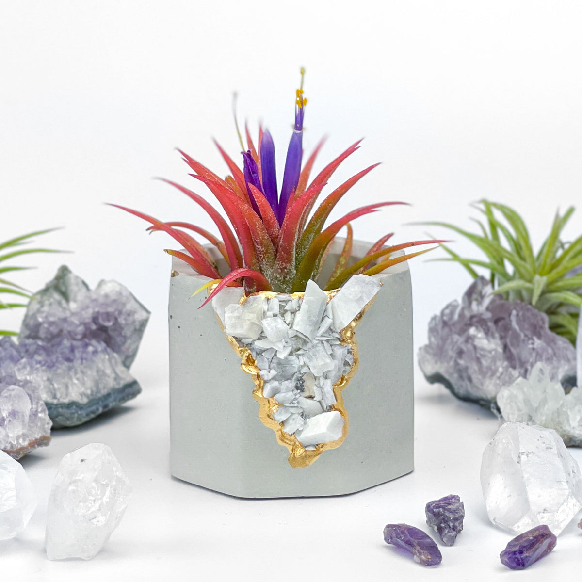 RAW MOONSTONE GEODE PLANTER