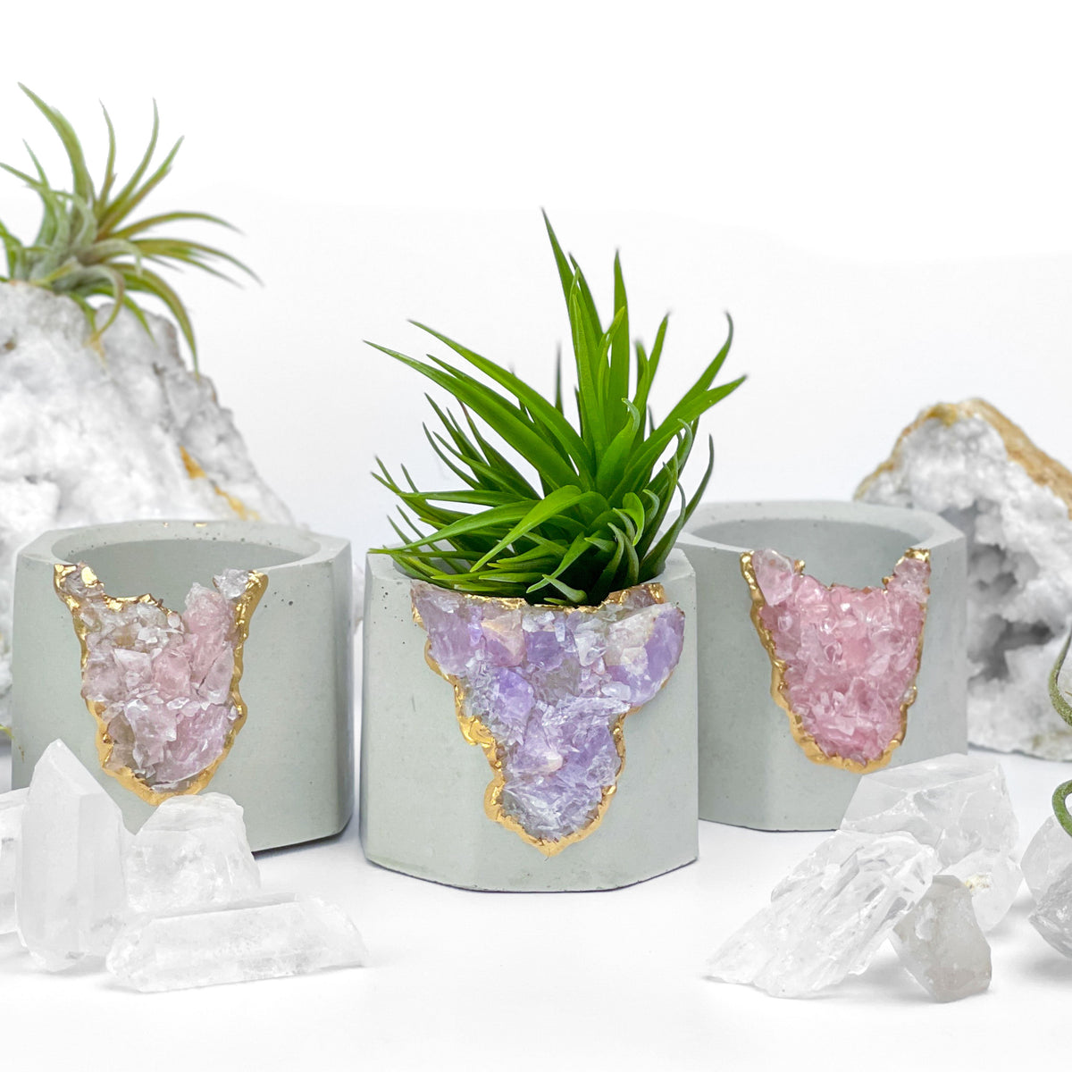 Madagascar AMETHYST GEODE PLANTER