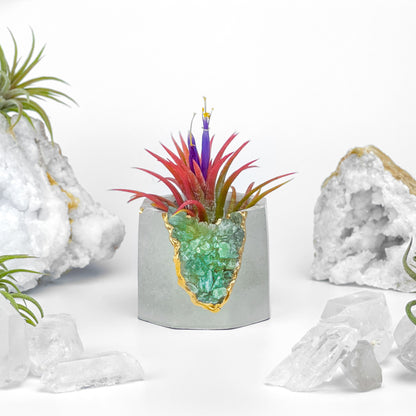 GREEN APATITE GEODE PLANTER