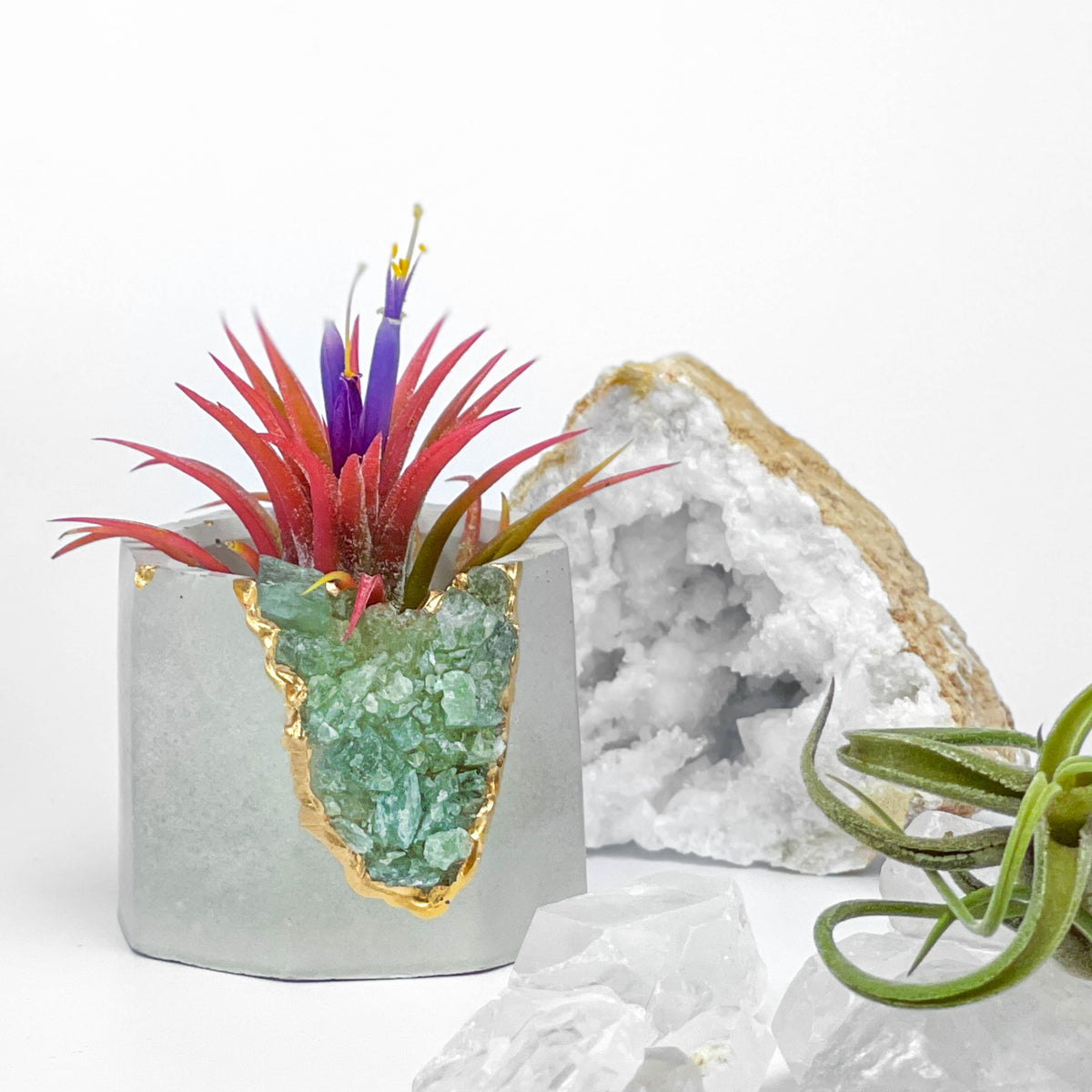 GREEN APATITE GEODE PLANTER