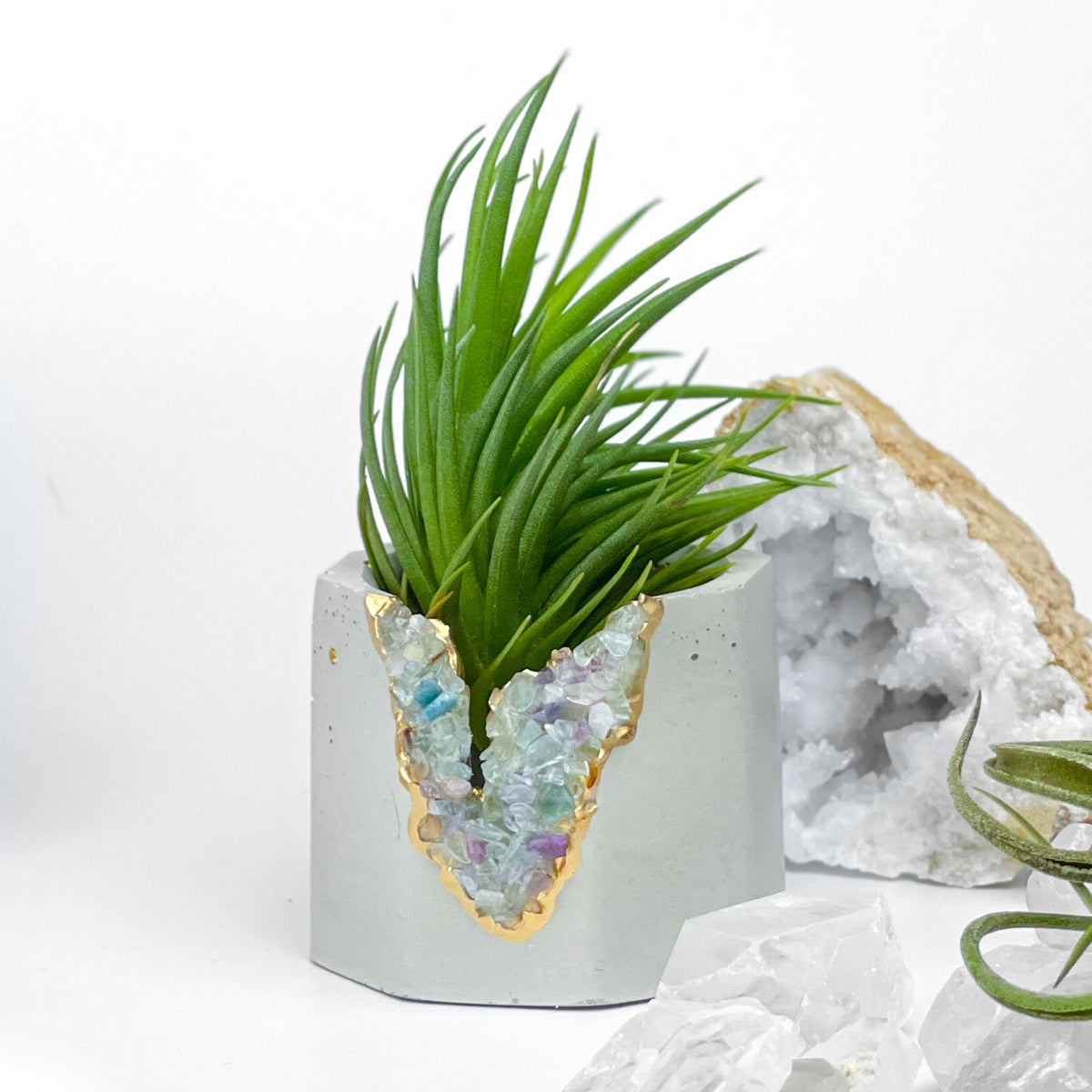 FLUORITE GEODE PLANTER