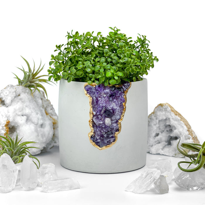 N°4 AMETHYST AURA PLANTER