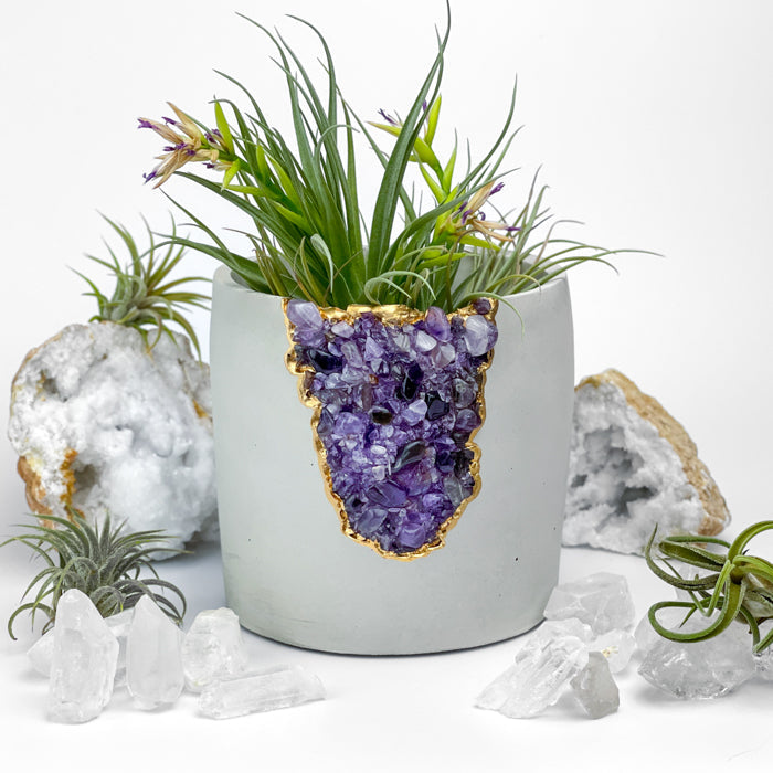 N°5 AMETHYST AURA PLANTER