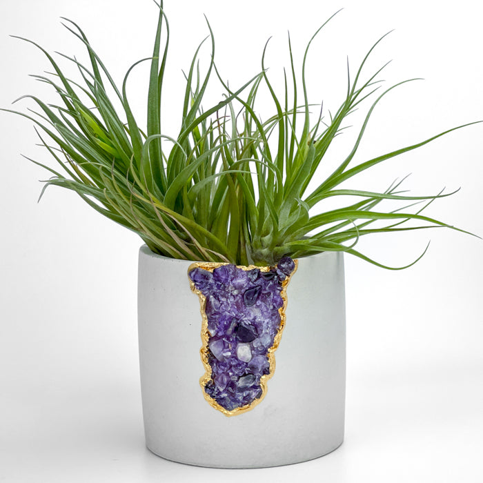 N°4 AMETHYST AURA PLANTER