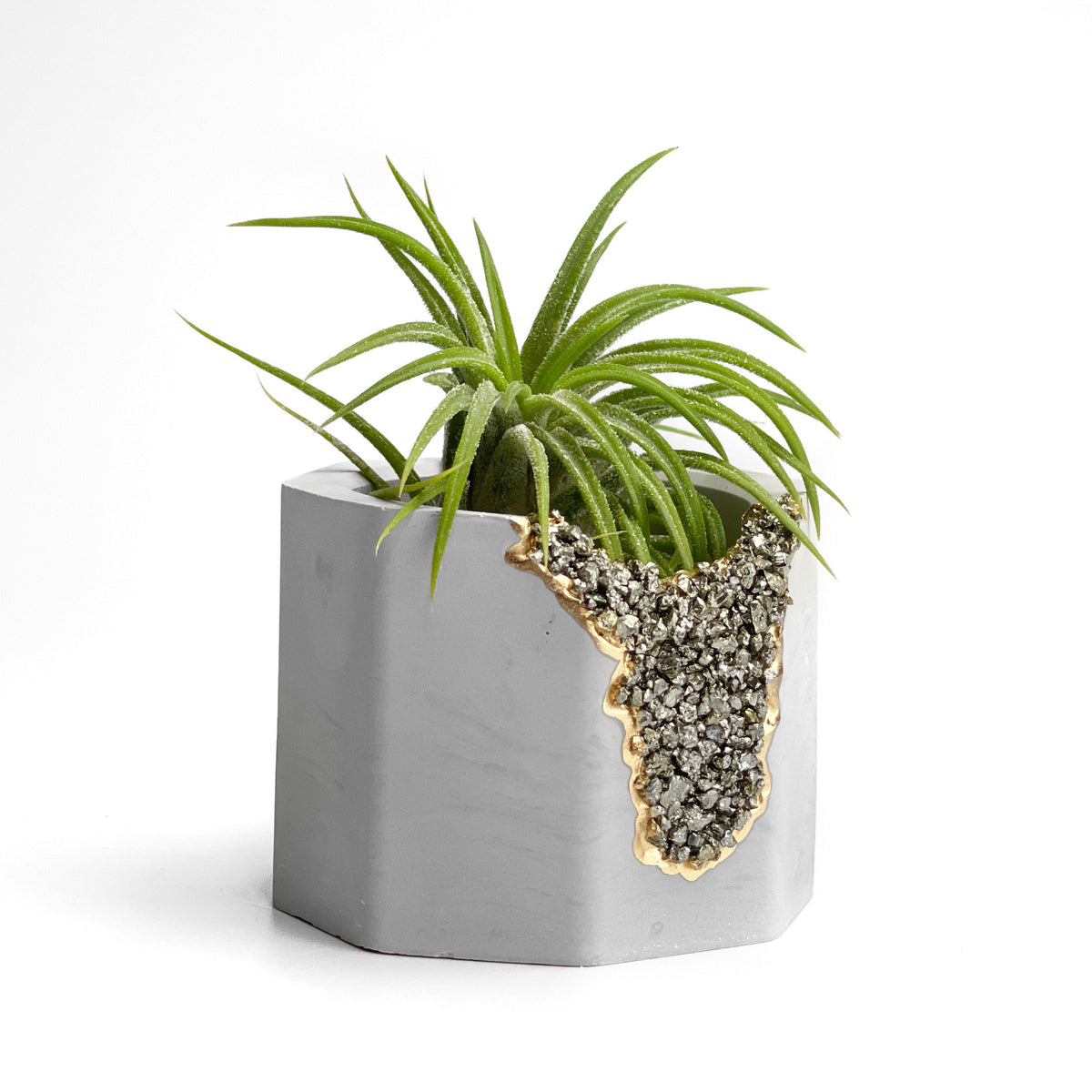 PYRITE GEODE PLANTER