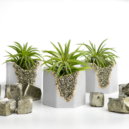 PYRITE GEODE PLANTER