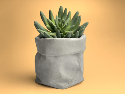 Paper Bag Succulent Planter Pot