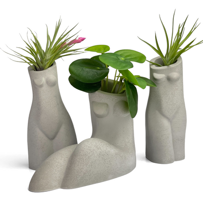 SET OF 3 AIR PLANT HOLDERS, Female Body Vase