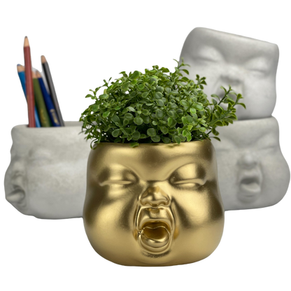 Baby Face Succulent Planter