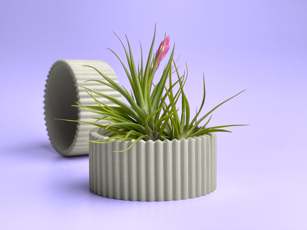 Scandinavian Air Plant Holder | Succulent Planter