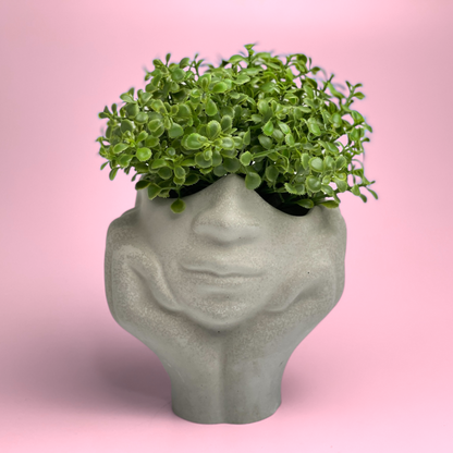 Face Succulent Planter on Two Hands