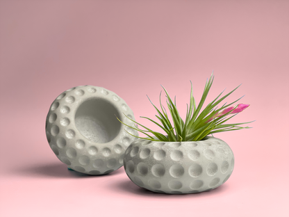 Concave Dots Air Plant Holder | Succulent Planter