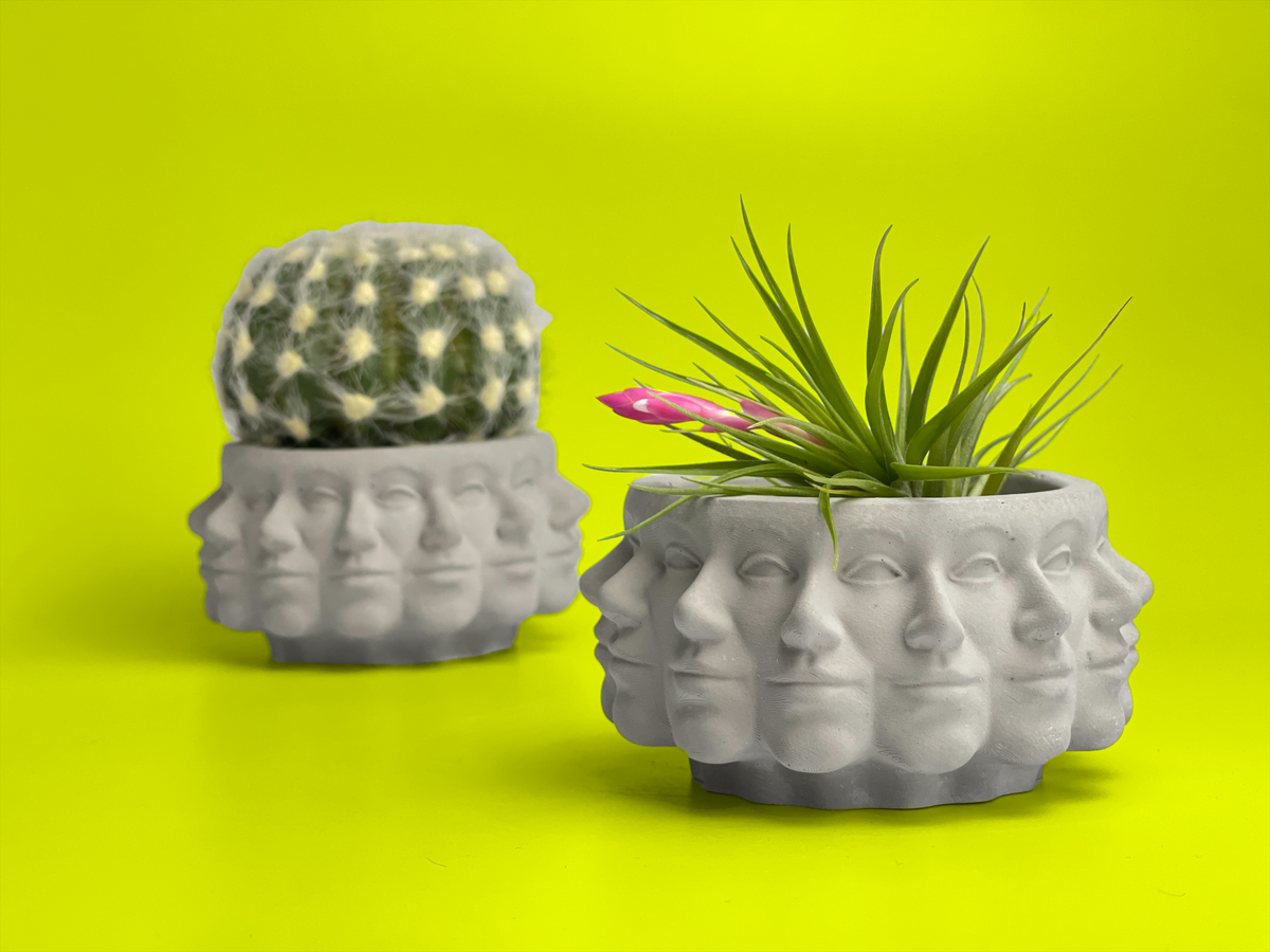 Multi Face Succulent Planter