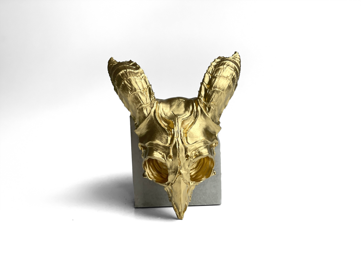 ANIMAL SKULL