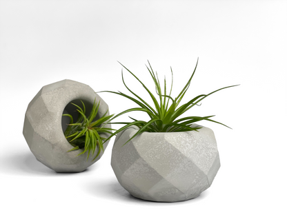 Geometric Air Plant Holder