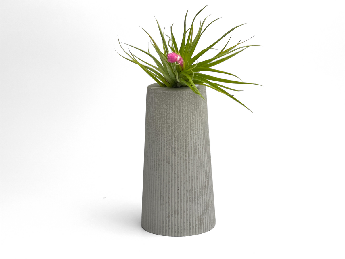FAT MINI VASE | AIR PLANT HOLDER