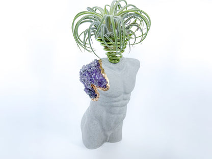 MALE BODY AIR PLANT HOLDER