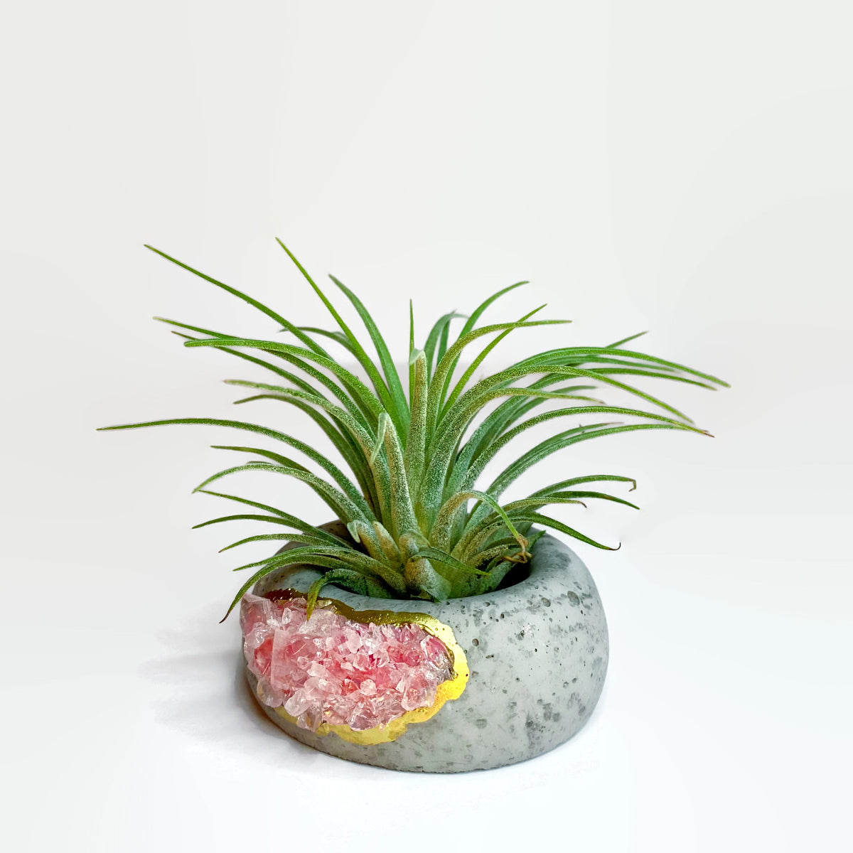 Geode Air Plant Holder -Rose Quartz Crystal Planter