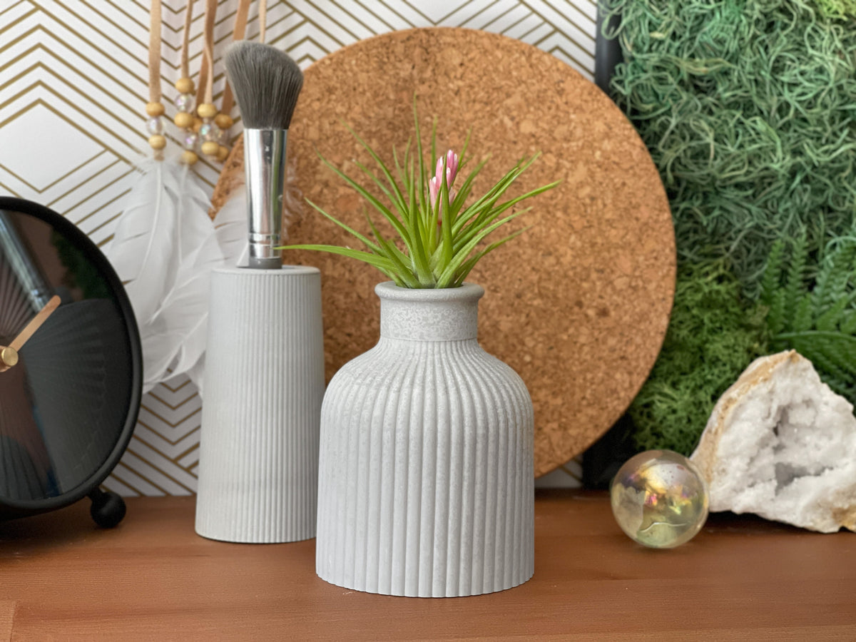 FAT MINI VASE | AIR PLANT HOLDER