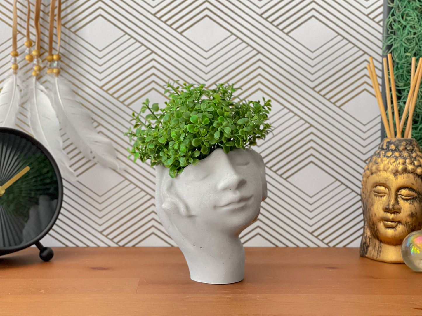 Face Succulent Planter on Hand
